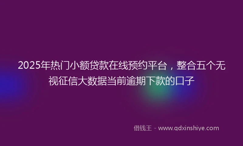 2025年热门小额贷款在线预约平台，整合五个无视征信大数据当前逾期下款的口子