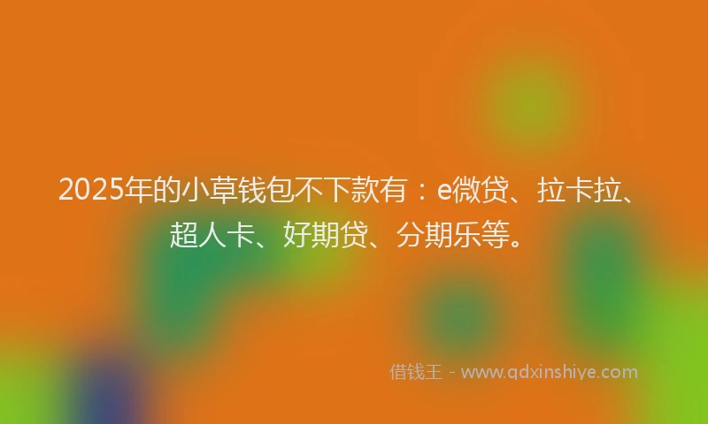2025年的小草钱包不下款有：e微贷、拉卡拉、超人卡、好期贷、分期乐等。