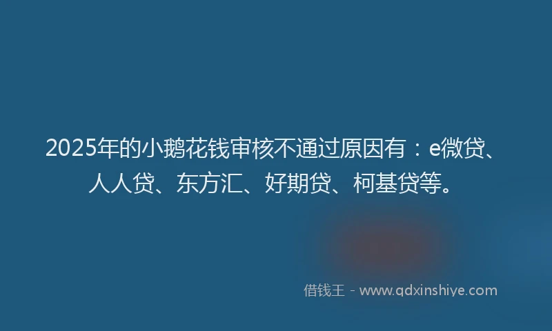 2025年的小鹅花钱审核不通过原因有：e微贷、人人贷、东方汇、好期贷、柯基贷等。