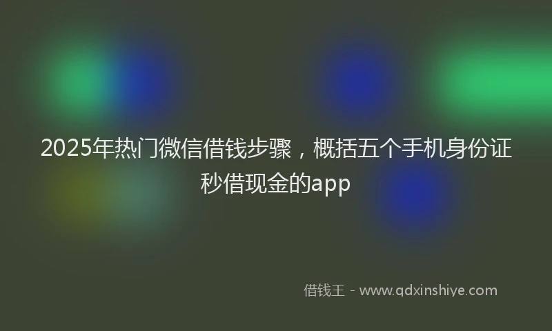 2025年热门微信借钱步骤，概括五个手机身份证秒借现金的app
