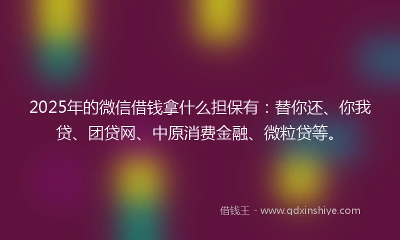 2025年的微信借钱拿什么担保有：替你还、你我贷、团贷网、中原消费金融、微粒贷等。