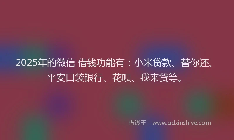2025年的微信 借钱功能有：小米贷款、替你还、平安口袋银行、花呗、我来贷等。