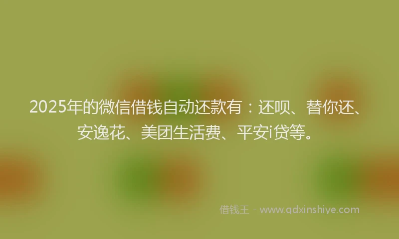 2025年的微信借钱自动还款有：还呗、替你还、安逸花、美团生活费、平安i贷等。