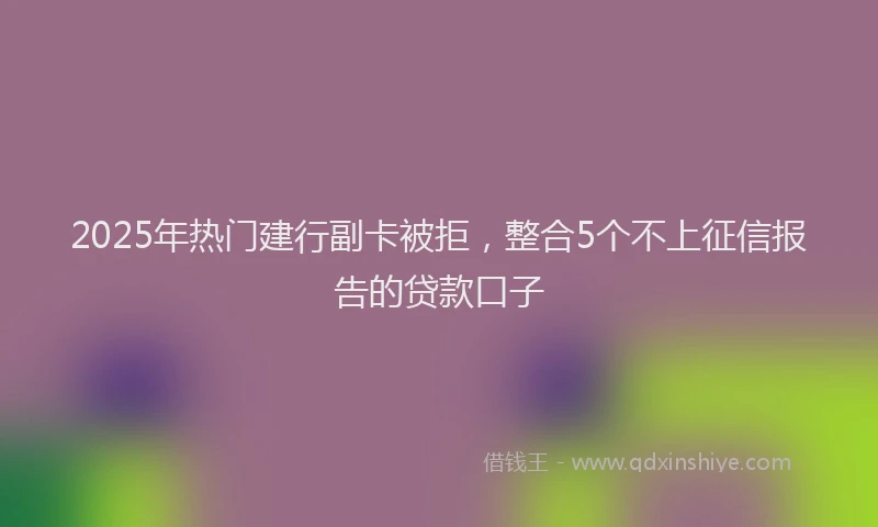 2025年热门建行副卡被拒，整合5个不上征信报告的贷款口子