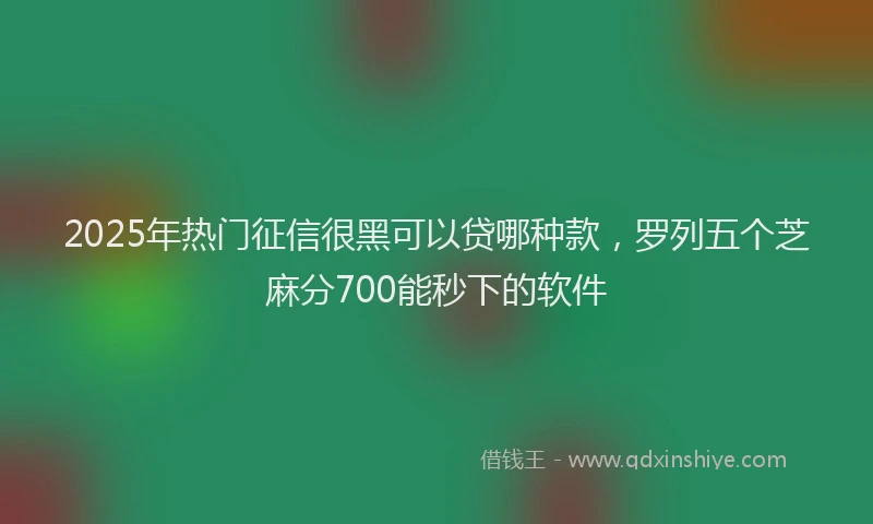 2025年热门征信很黑可以贷哪种款，罗列五个芝麻分700能秒下的软件