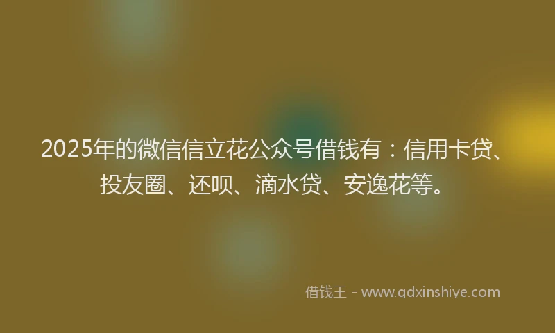 2025年的微信信立花公众号借钱有：信用卡贷、投友圈、还呗、滴水贷、安逸花等。