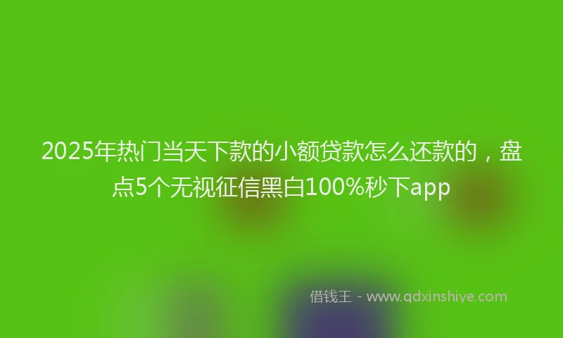 2025年热门当天下款的小额贷款怎么还款的，盘点5个无视征信黑白100%秒下app