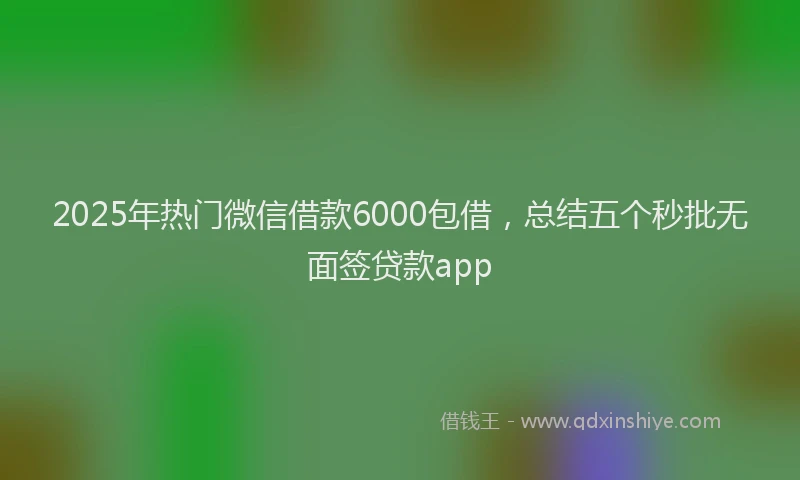 2025年热门微信借款6000包借，总结五个秒批无面签贷款app