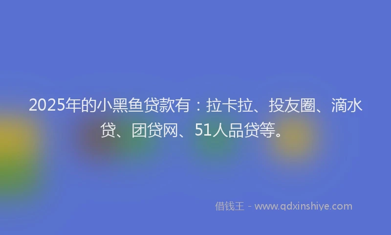 2025年的小黑鱼贷款有：拉卡拉、投友圈、滴水贷、团贷网、51人品贷等。