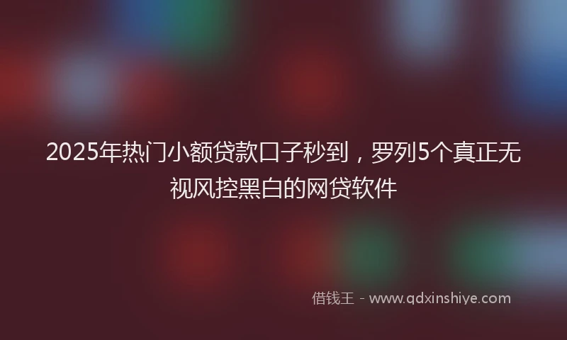 2025年热门小额贷款口子秒到，罗列5个真正无视风控黑白的网贷软件