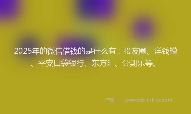 2025年的微信借钱的是什么有：投友圈、洋钱罐、平安口袋银行、东方汇、分期乐等。