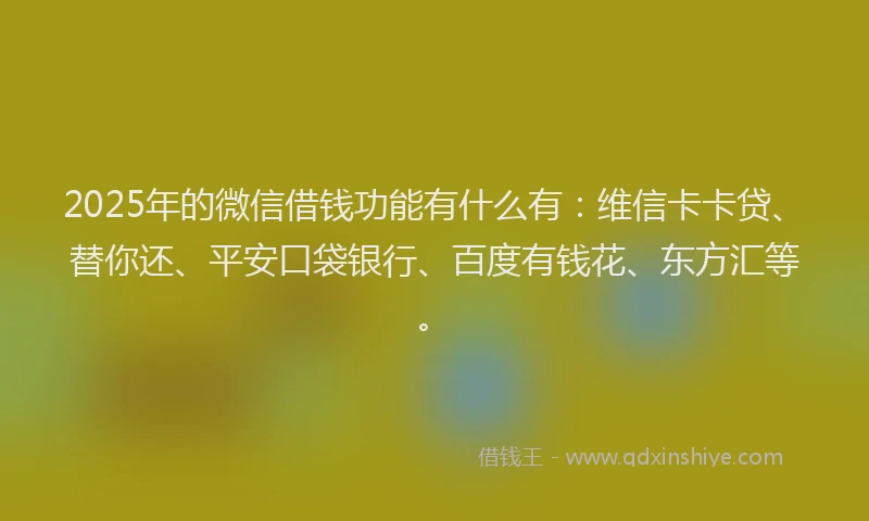 2025年的微信借钱功能有什么有：维信卡卡贷、替你还、平安口袋银行、百度有钱花、东方汇等。