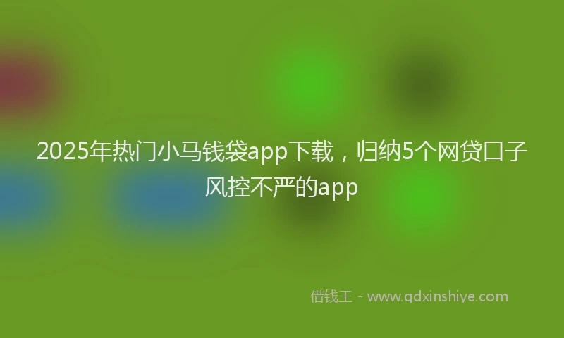 2025年热门小马钱袋app下载，归纳5个网贷口子风控不严的app