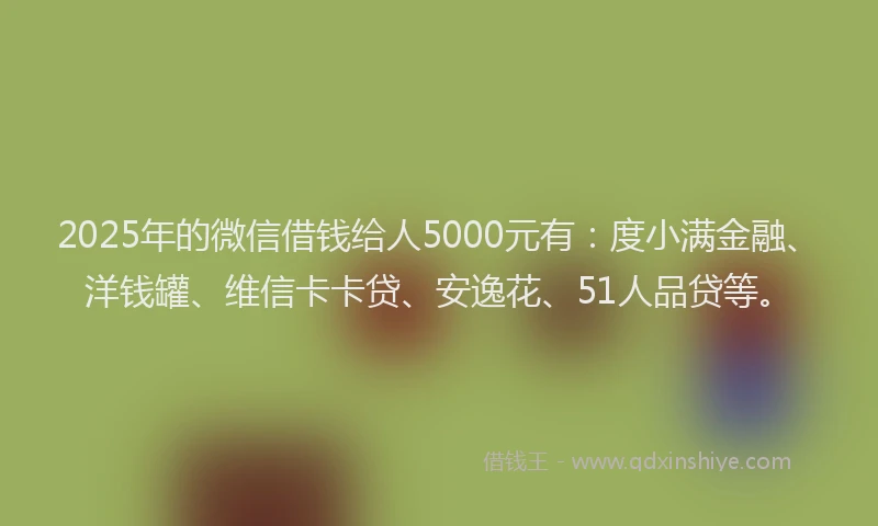 2025年的微信借钱给人5000元有：度小满金融、洋钱罐、维信卡卡贷、安逸花、51人品贷等。