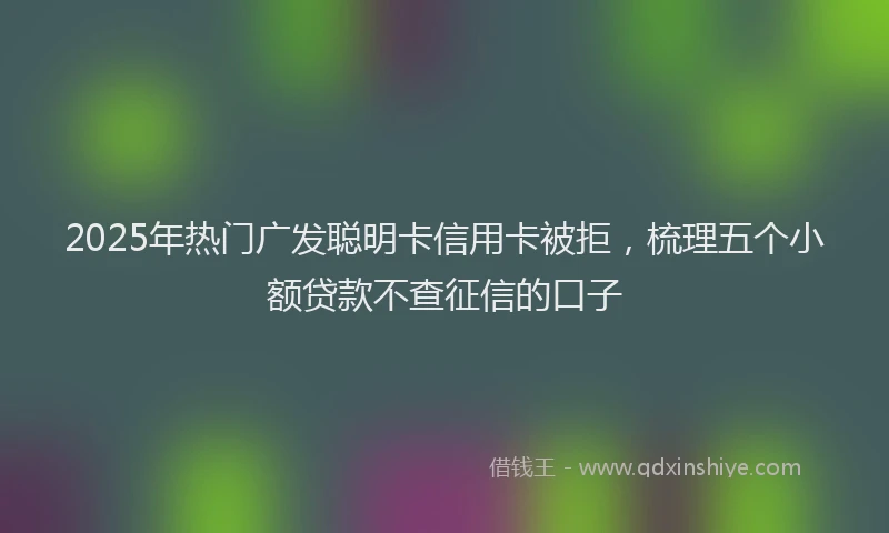 2025年热门广发聪明卡信用卡被拒，梳理五个小额贷款不查征信的口子