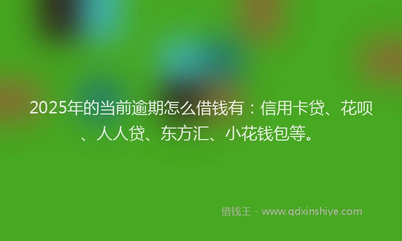 2025年的当前逾期怎么借钱有：信用卡贷、花呗、人人贷、东方汇、小花钱包等。