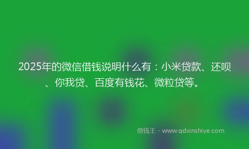 2025年的微信借钱说明什么有：小米贷款、还呗、你我贷、百度有钱花、微粒贷等。
