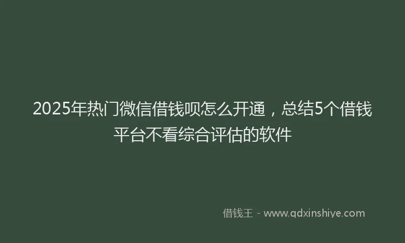 2025年热门微信借钱呗怎么开通，总结5个借钱平台不看综合评估的软件