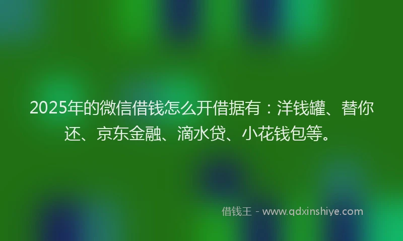 2025年的微信借钱怎么开借据有：洋钱罐、替你还、京东金融、滴水贷、小花钱包等。