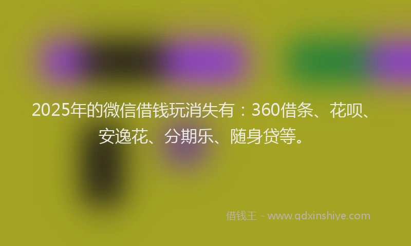 2025年的微信借钱玩消失有：360借条、花呗、安逸花、分期乐、随身贷等。
