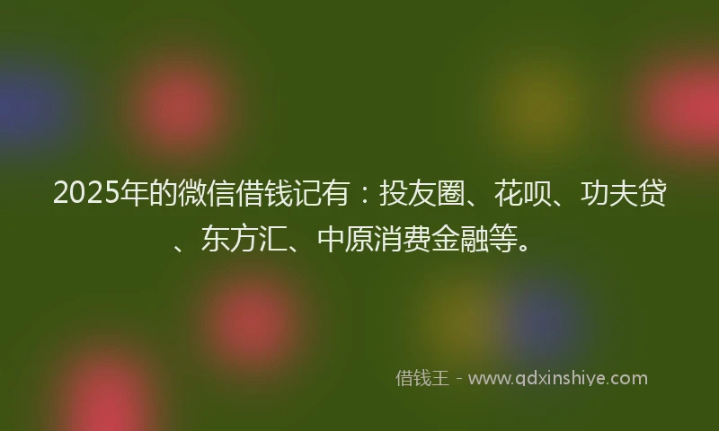 2025年的微信借钱记有：投友圈、花呗、功夫贷、东方汇、中原消费金融等。