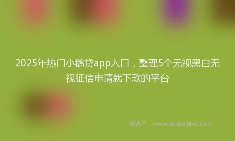 2025年热门小鹅贷app入口，整理5个无视黑白无视征信申请就下款的平台
