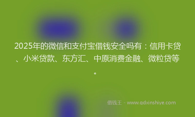 2025年的微信和支付宝借钱安全吗有：信用卡贷、小米贷款、东方汇、中原消费金融、微粒贷等。