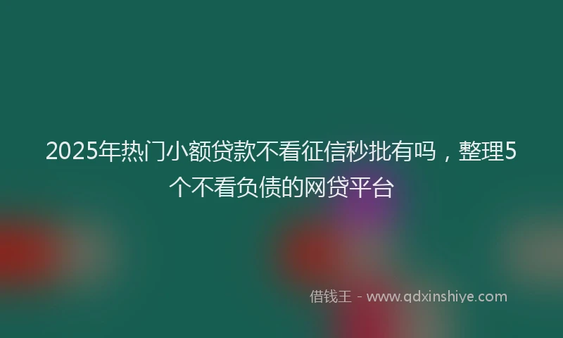2025年热门小额贷款不看征信秒批有吗，整理5个不看负债的网贷平台