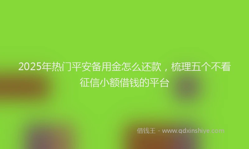 2025年热门平安备用金怎么还款，梳理五个不看征信小额借钱的平台