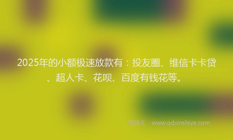 2025年的小额极速放款有：投友圈、维信卡卡贷、超人卡、花呗、百度有钱花等。