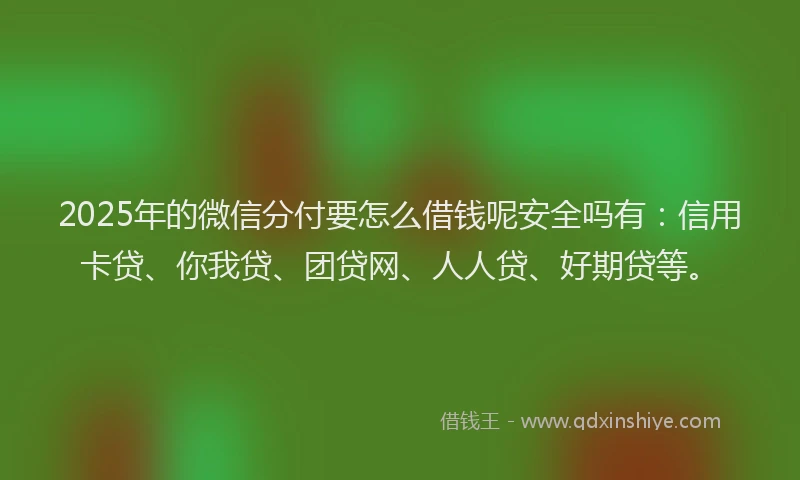 2025年的微信分付要怎么借钱呢安全吗有：信用卡贷、你我贷、团贷网、人人贷、好期贷等。