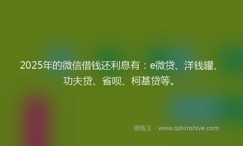 2025年的微信借钱还利息有：e微贷、洋钱罐、功夫贷、省呗、柯基贷等。