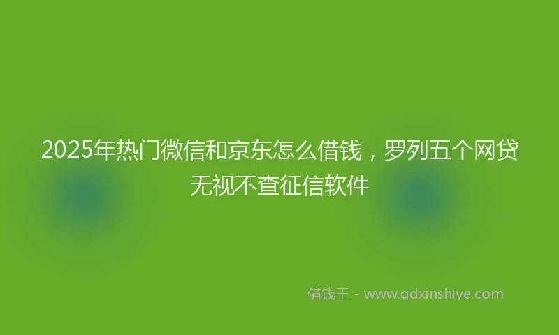2025年热门微信和京东怎么借钱，罗列五个网贷无视不查征信软件