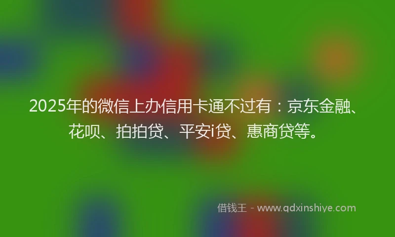 2025年的微信上办信用卡通不过有：京东金融、花呗、拍拍贷、平安i贷、惠商贷等。