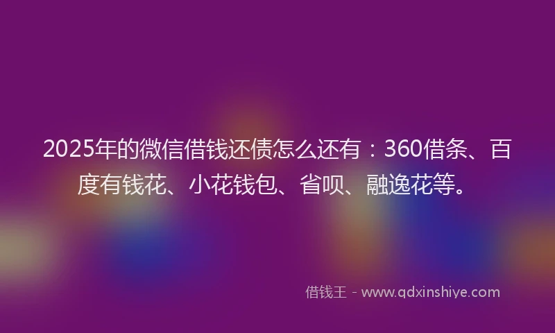2025年的微信借钱还债怎么还有：360借条、百度有钱花、小花钱包、省呗、融逸花等。