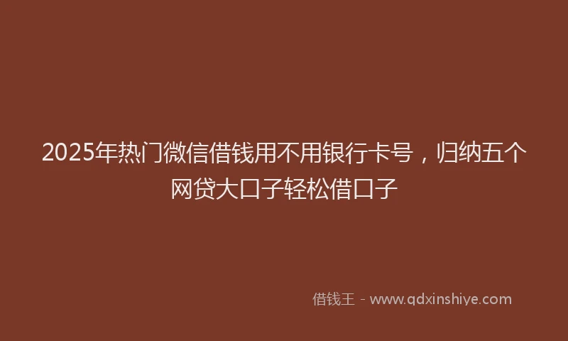 2025年热门微信借钱用不用银行卡号，归纳五个网贷大口子轻松借口子