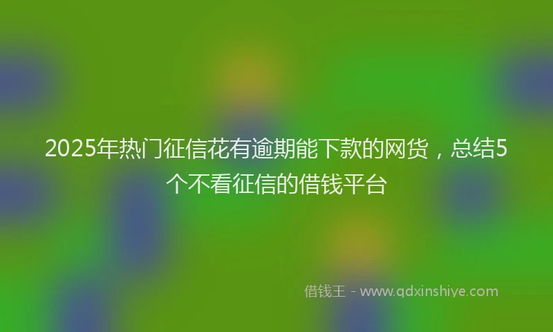 2025年热门征信花有逾期能下款的网货，总结5个不看征信的借钱平台