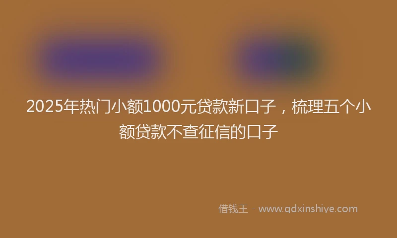 2025年热门小额1000元贷款新口子，梳理五个小额贷款不查征信的口子