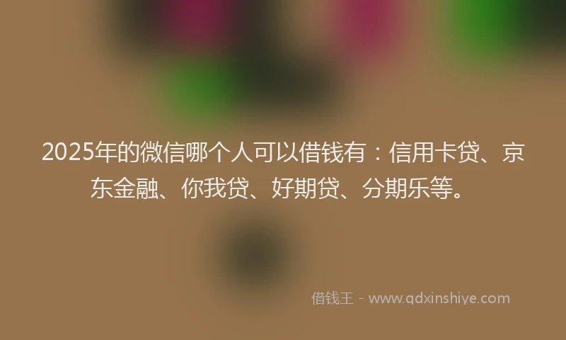2025年的微信哪个人可以借钱有：信用卡贷、京东金融、你我贷、好期贷、分期乐等。