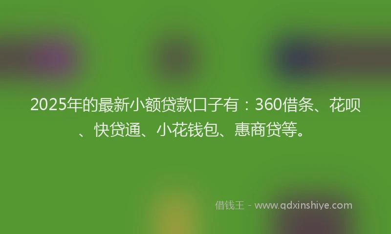 2025年的最新小额贷款口子有：360借条、花呗、快贷通、小花钱包、惠商贷等。