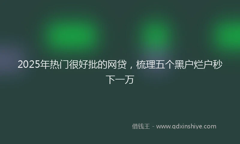 2025年热门很好批的网贷，梳理五个黑户烂户秒下一万