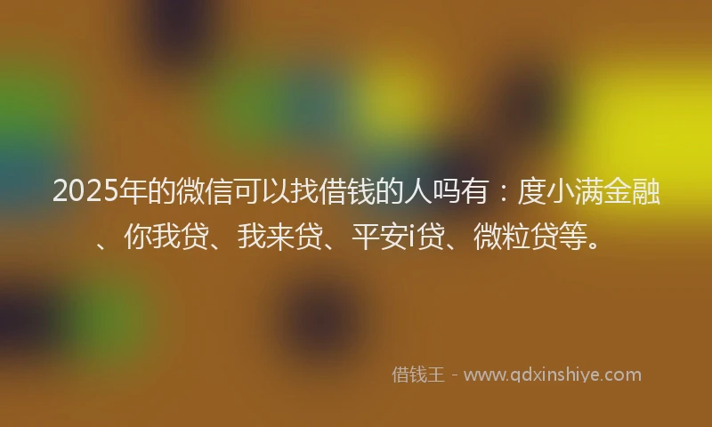 2025年的微信可以找借钱的人吗有：度小满金融、你我贷、我来贷、平安i贷、微粒贷等。