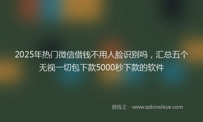 2025年热门微信借钱不用人脸识别吗，汇总五个无视一切包下款5000秒下款的软件