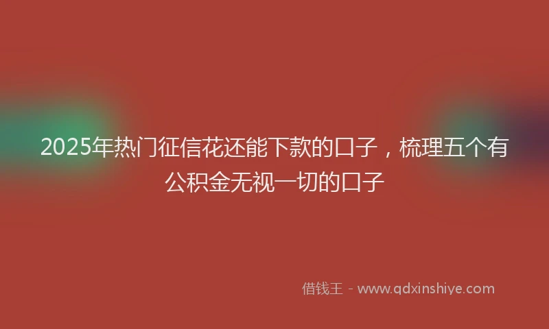 2025年热门征信花还能下款的口子，梳理五个有公积金无视一切的口子