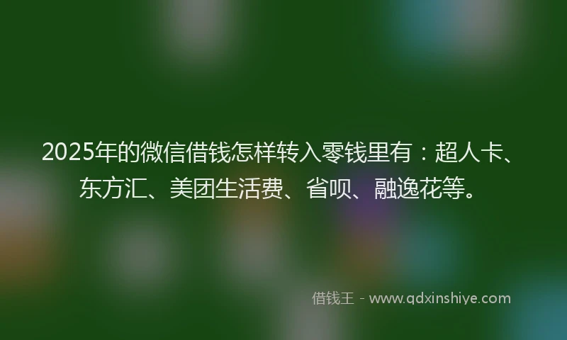2025年的微信借钱怎样转入零钱里有：超人卡、东方汇、美团生活费、省呗、融逸花等。