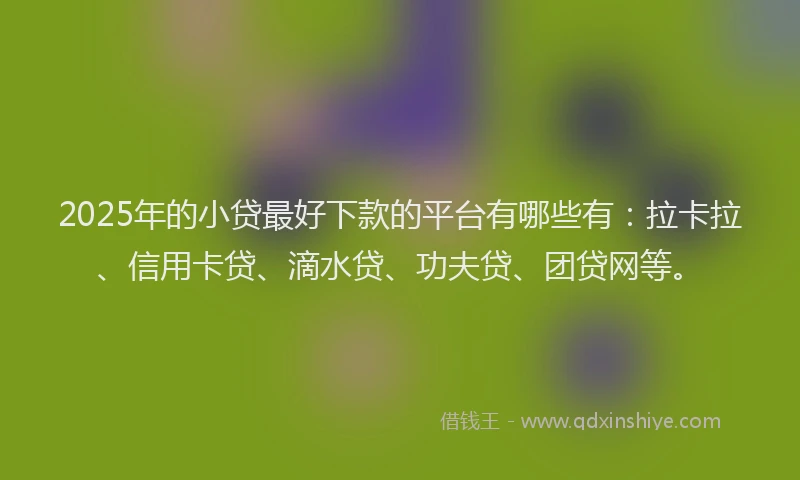 2025年的小贷最好下款的平台有哪些有：拉卡拉、信用卡贷、滴水贷、功夫贷、团贷网等。