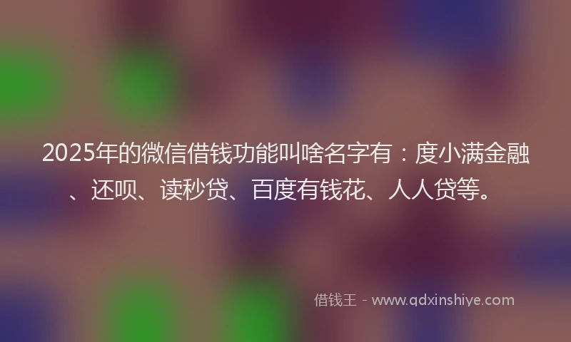 2025年的微信借钱功能叫啥名字有：度小满金融、还呗、读秒贷、百度有钱花、人人贷等。