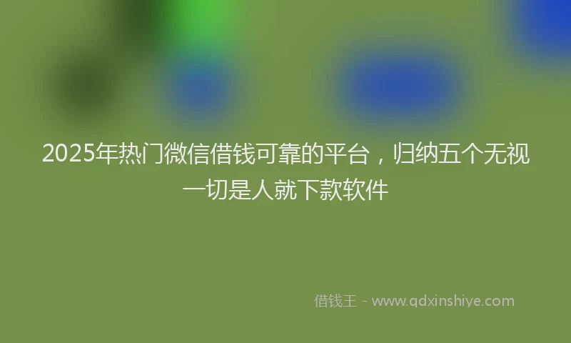 2025年热门微信借钱可靠的平台，归纳五个无视一切是人就下款软件