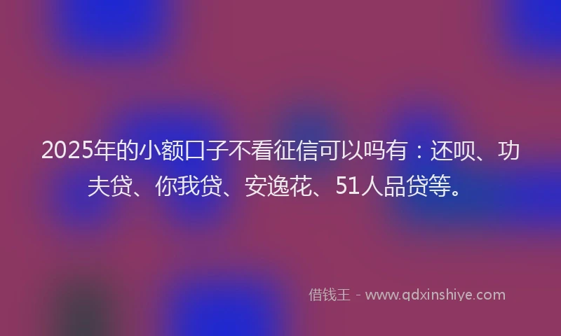 2025年的小额口子不看征信可以吗有：还呗、功夫贷、你我贷、安逸花、51人品贷等。