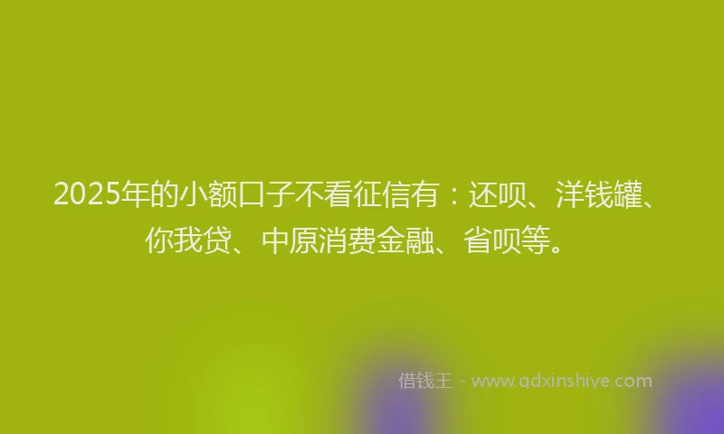 2025年的小额口子不看征信有：还呗、洋钱罐、你我贷、中原消费金融、省呗等。